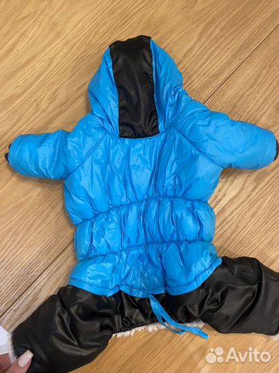 Комбинезон для собаки