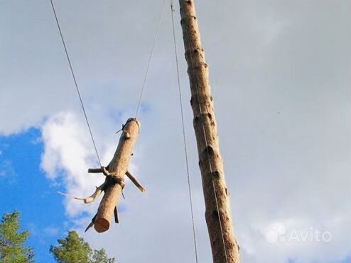 Спил удаление деревьев