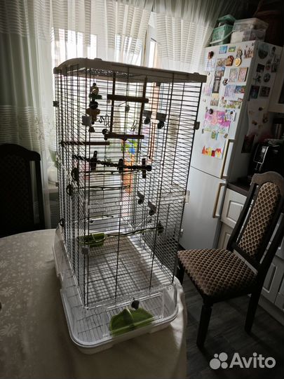 Клетка hagen