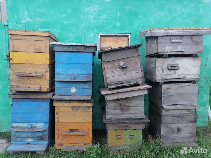 Ульи для пчел