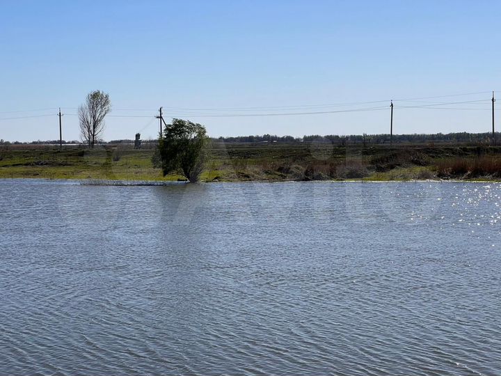 Участок 20 га (СНТ, ДНП)