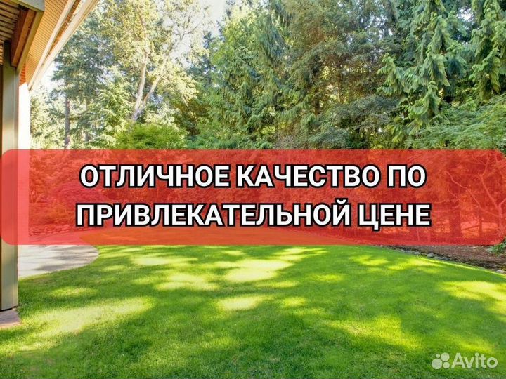 Продажа рулонного газона