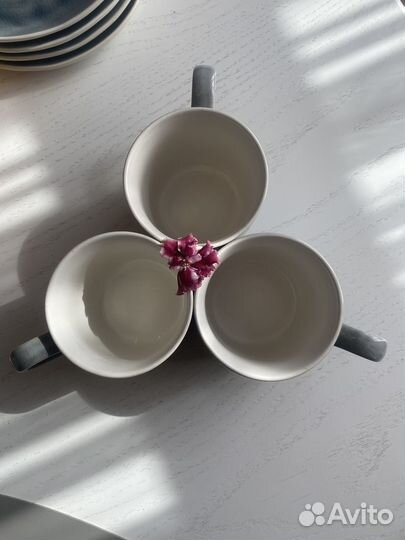 Кружки и тарелки Maxwell & Williams