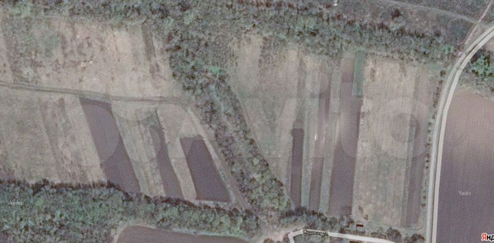 Участок 50 сот. (СНТ, ДНП)