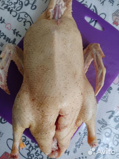 Мясо домашней птицы