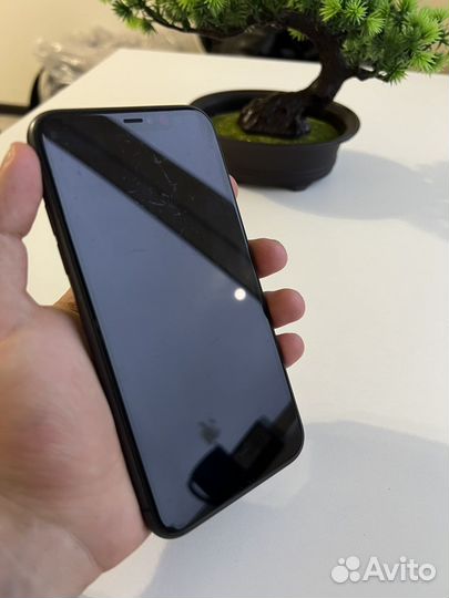 iPhone 11