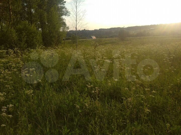 Участок 25 сот. (ИЖС)