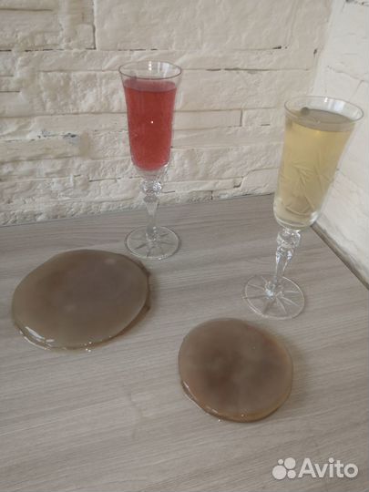 Чайный гриб комбуча