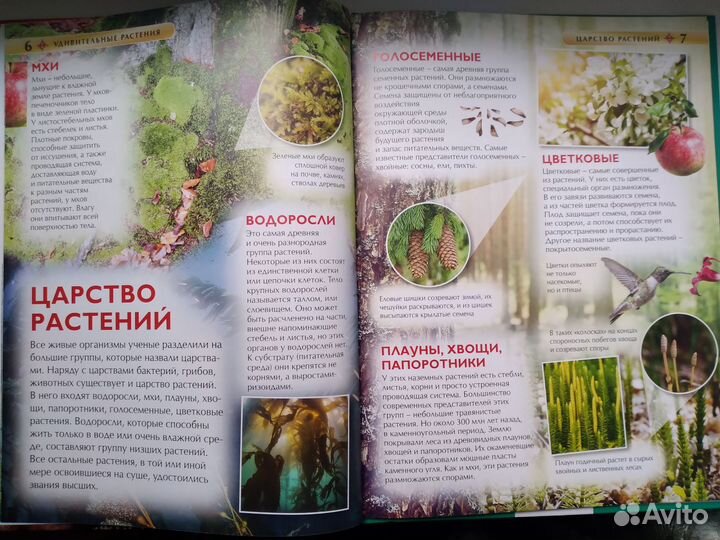 Детская энциклопедия