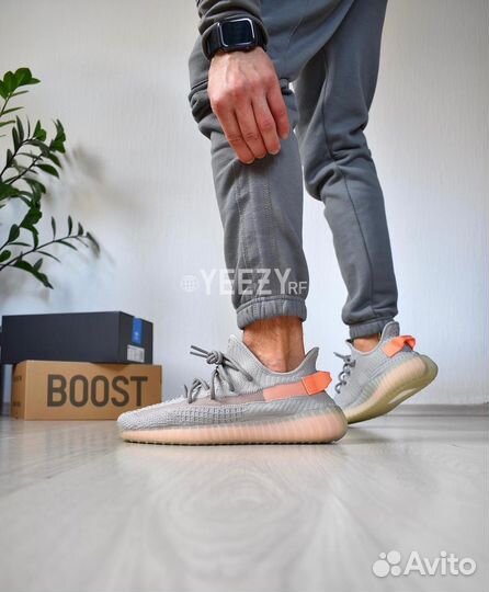 Кроссовки Adidas Yeezy Boost 350 V2 True Form