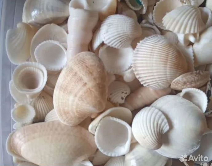 Аквариумное рыбки