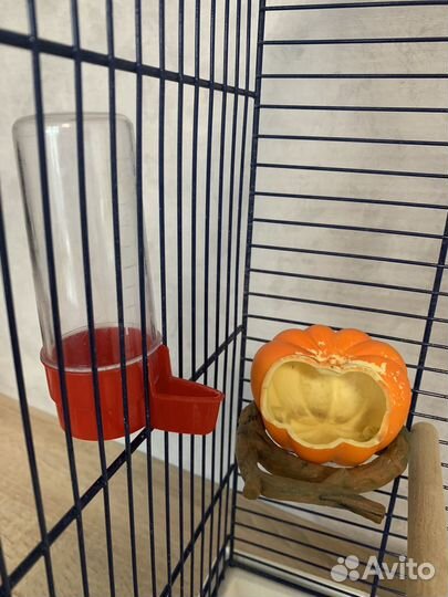 Клетка для попугая б/у inter-ZOO PET products