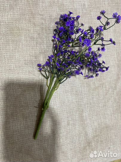 Декоративная зелень