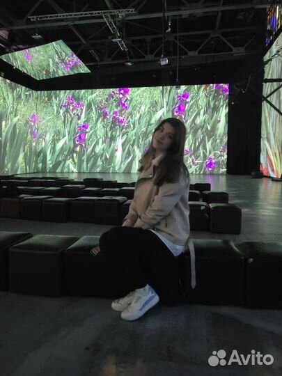 Репетитор по истории огэ