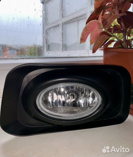 Противотуманки птф Аккорд 7