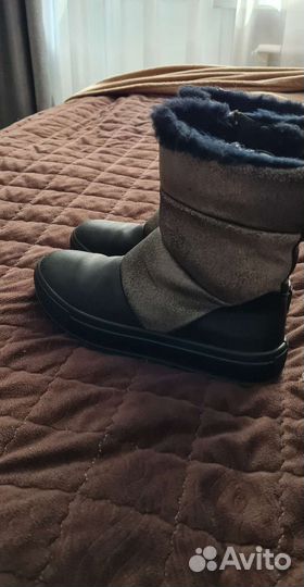 Сапоги зимние ralf ringer