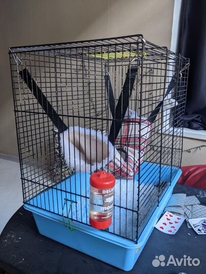 Клетка для грызунов