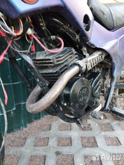 Зид пилот 50