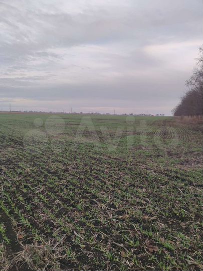 Участок 6,2 га (СНТ, ДНП)