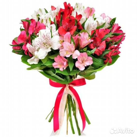 Альстромерия