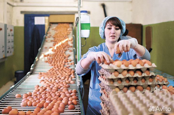 Вахта жилье упаковщик Пермь