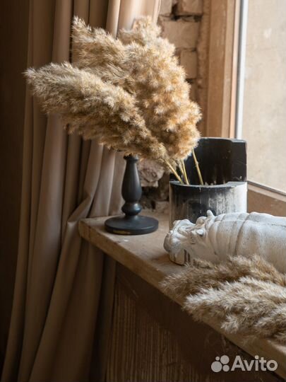 Сухоцветы для декора Камыш тростник Пампасная трав