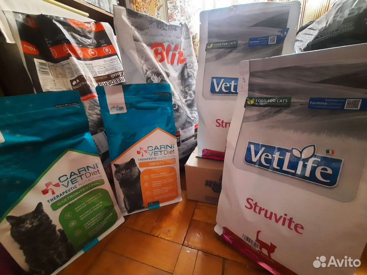 Помогите моим подопечным