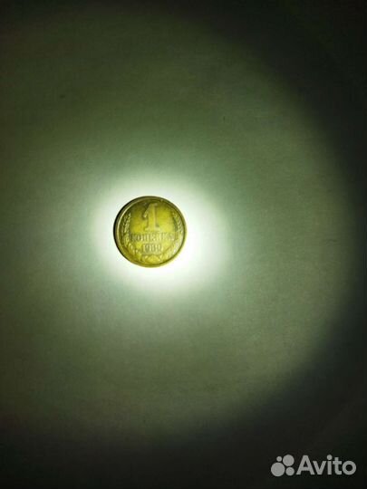 1 копейка 1980 года (длинные ости)