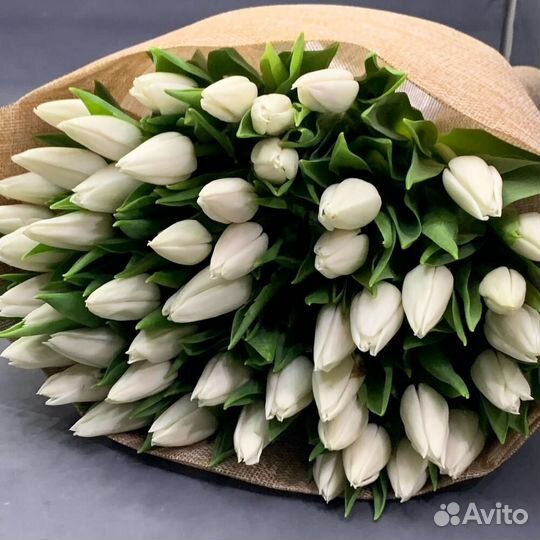 Тюльпаны букет 25 51 101 тюльпан