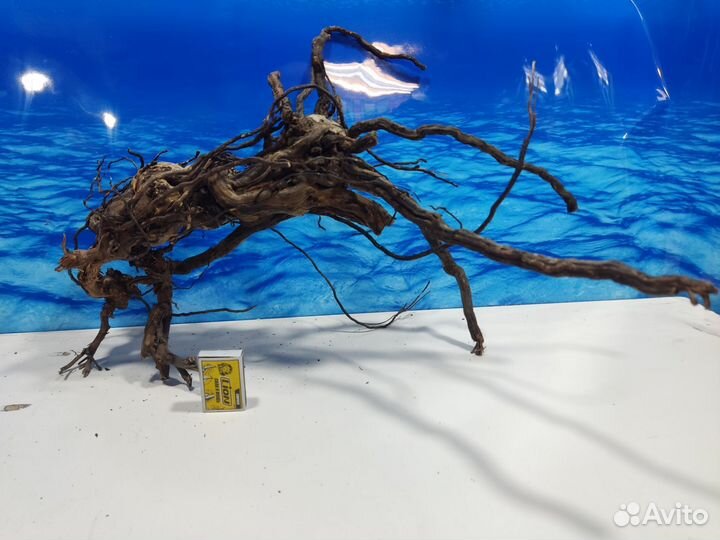 Корень виноградный коряга