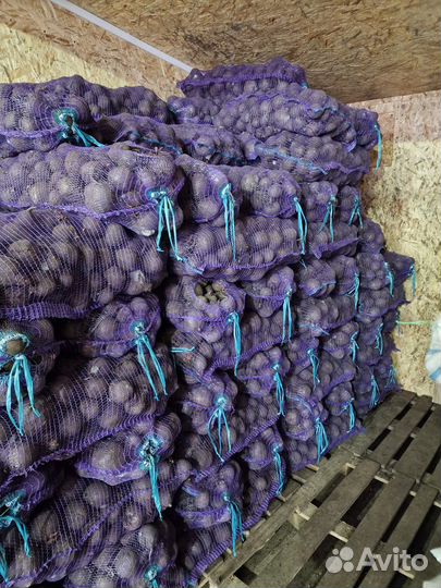 Овощи оптом