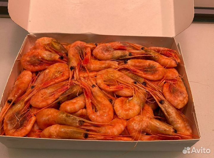 Креветка северная. Свежезамороженные. Опт