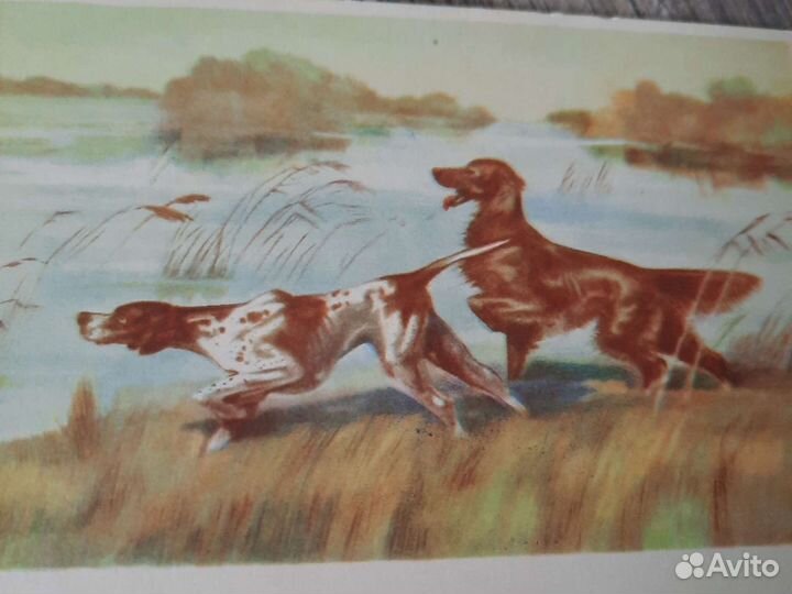 Открытки СССР 50-60 года