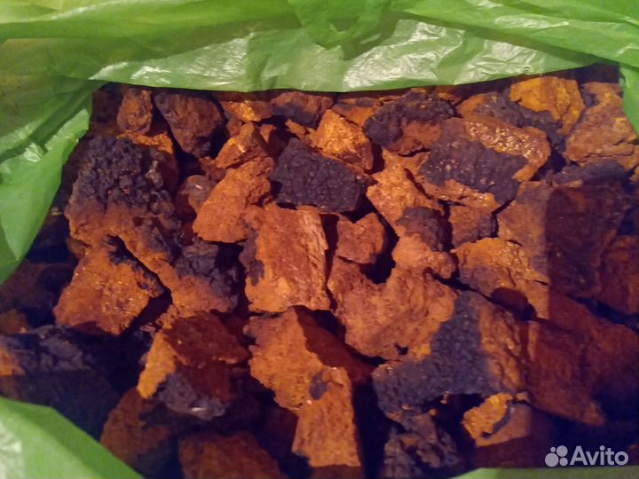 Чага березовая цена за 1кг