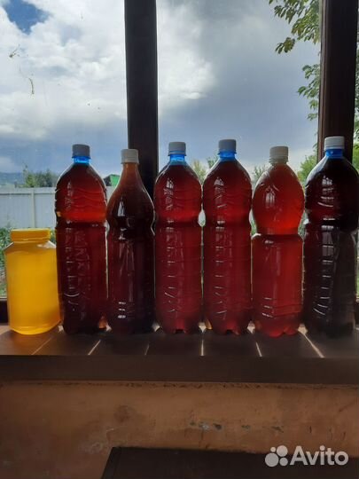 Мед Горное разнотравье. с. Лютаево. Солонешенский