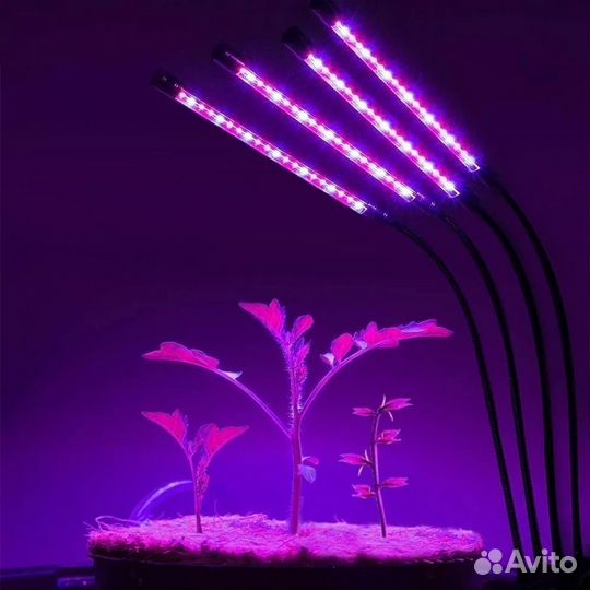 Фитолампа для растений на прищепке 4 светильника