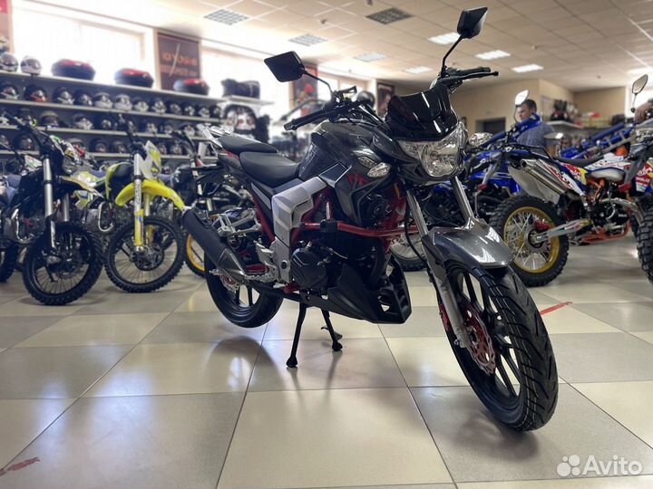 Regulmoto Raptor new