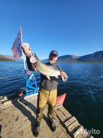 Плато Путорана 2024