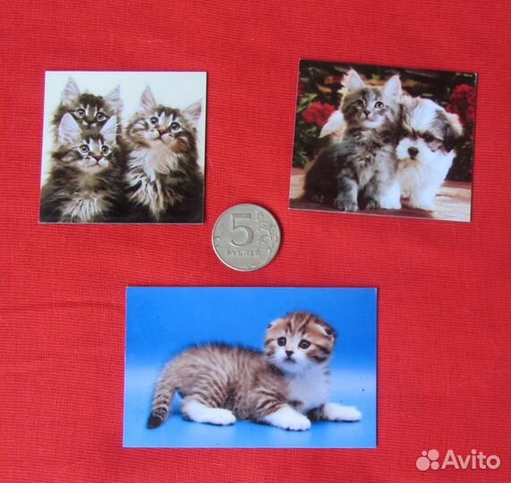 Магнитики на холодильник