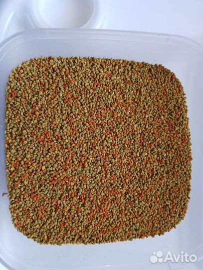 Пыльца пчелиная обножка