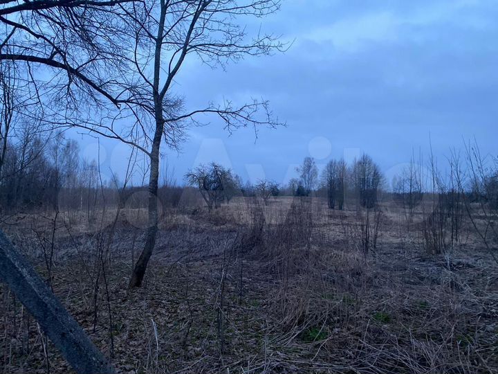 Участок 3 га (ИЖС)