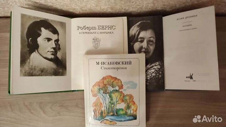 Стихи русских и зарубежных поэтов 18-20 вв