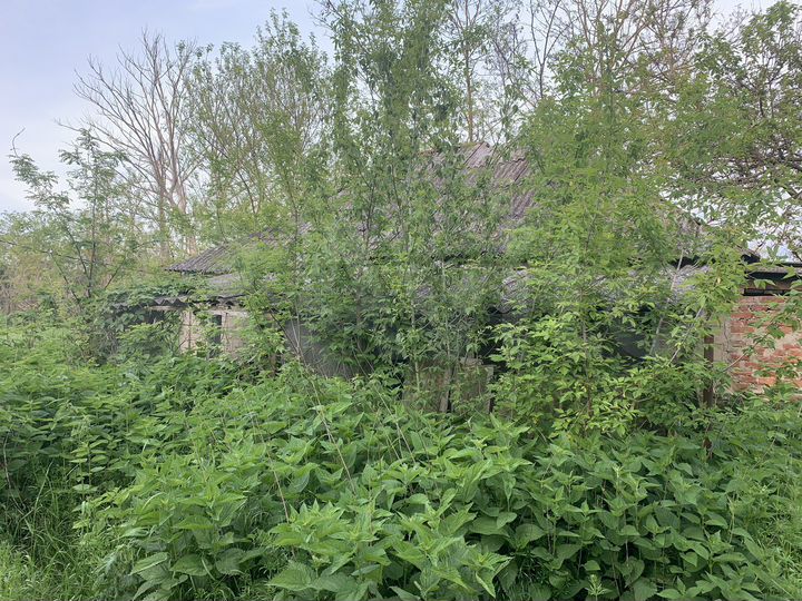 Дача 30,5 м² на участке 57 сот.