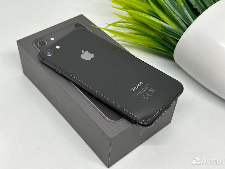 iPhone 8
