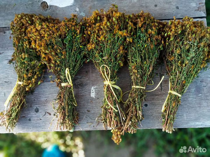 Зверобой, тысячелистник