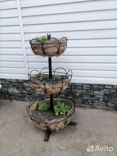 Подцветочник