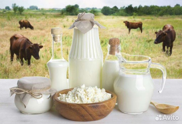 Молочные продукты