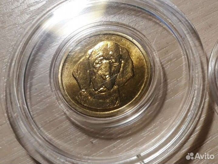 Жетон спмд символы года: Собака