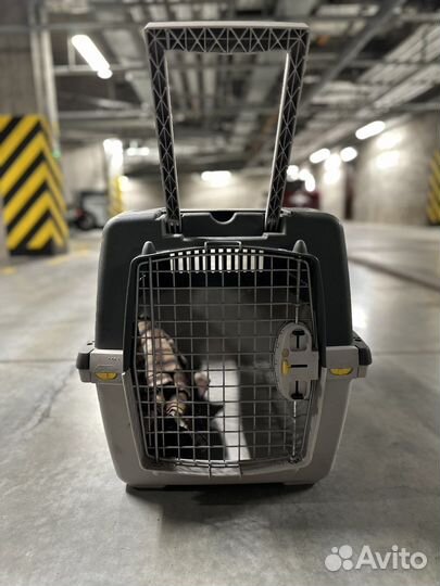 Переноска для животных