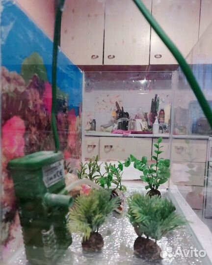 Аквариум С Фильтром для рыбки